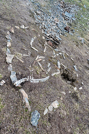 An interesting piece rock "art" just under Shale Pass.