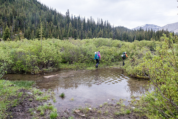 More wet willows... There was an option to stay higher after the horse camp which we didn't notice.