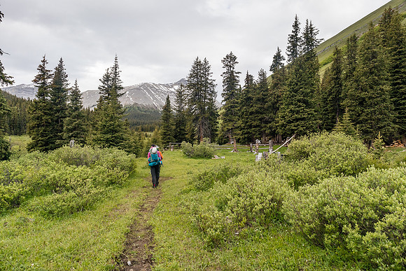 Hiking towards the Condor Pass (R) and Shale Pass (L) branch, past a horse camp.