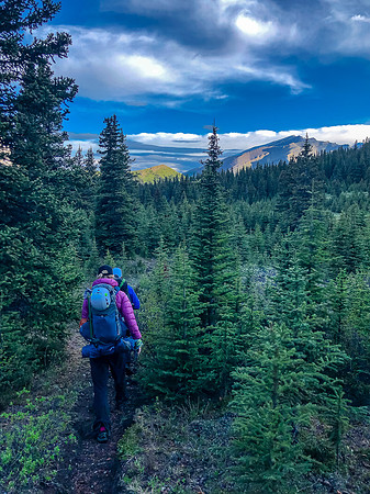 On a good trail again.