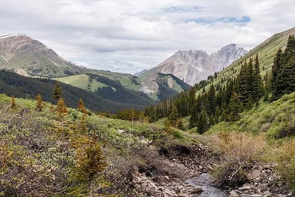 Peters Creek and Mountain from near the Peters Creek trail.