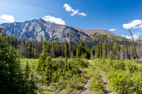 Hiking back to Ya Ha Tinda via the Red Deer River trail.