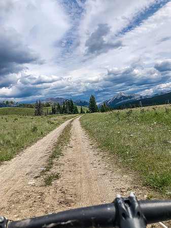 Biking through Ya Ha Tinda to the Bighorn Campground.