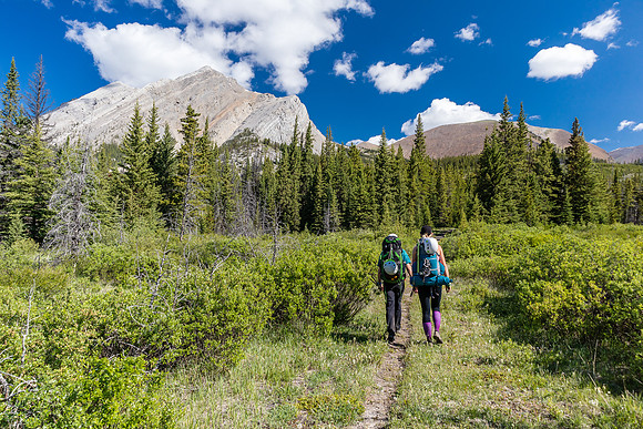 Hiking back to Ya Ha Tinda via the Red Deer River trail.