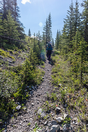 Hiking back to Ya Ha Tinda via the Red Deer River trail.