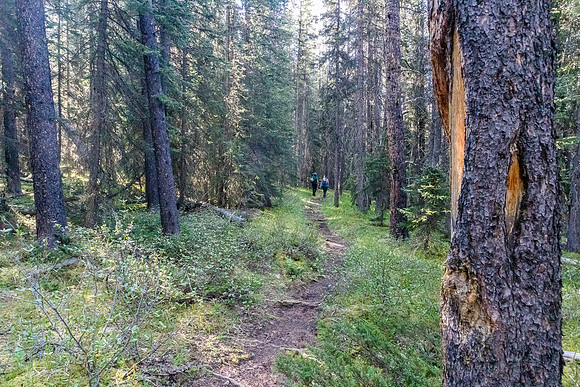 Hiking over the NE shoulder of Boar Station on our way from Divide Creek to the Red Deer River.