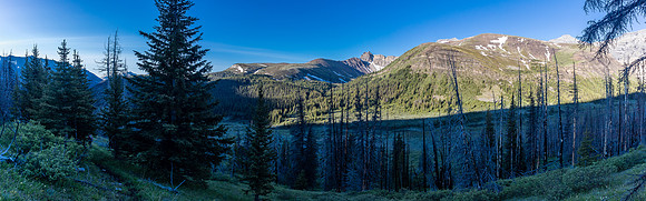 Descending the trail to Divide Creek.
