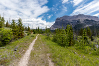 Hiking back to the Ya Ha Tinda ranch on the old Cascade Fire Road.