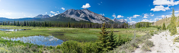 Hiking back to Ya Ha Tinda via the Red Deer River trail. Mount White and Prow (R).