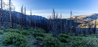 Entering a burn area as we descend from Divide Pass towards Divide Creek.