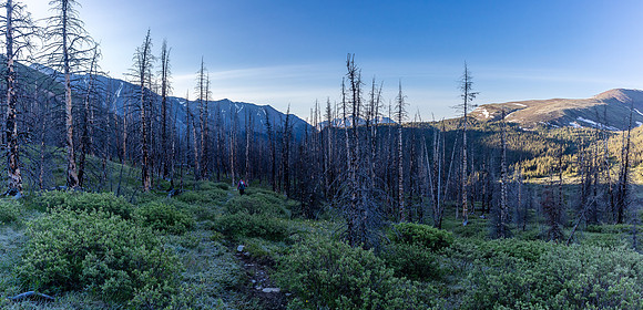 Entering a burn area as we descend from Divide Pass towards Divide Creek.