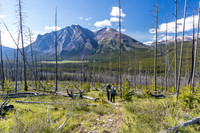 Descending from the NE shoulder of Boar Station down to the Red Deer River.