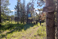 This sign is rather understated as we join the main Red Deer River trail.