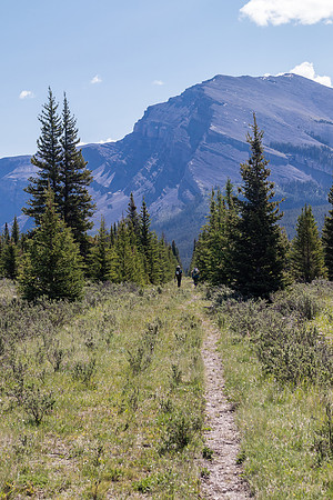 Hiking towards Gable Mountain on the old Cascade Fire Road trail.