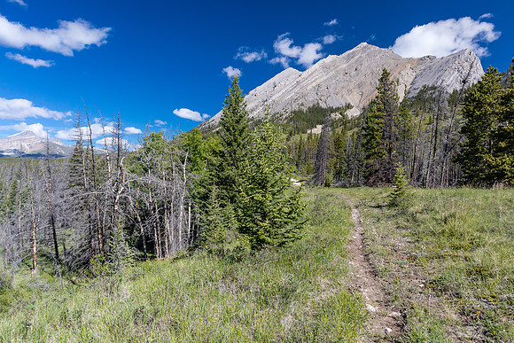 Looking up at Mount Tyrrell.
