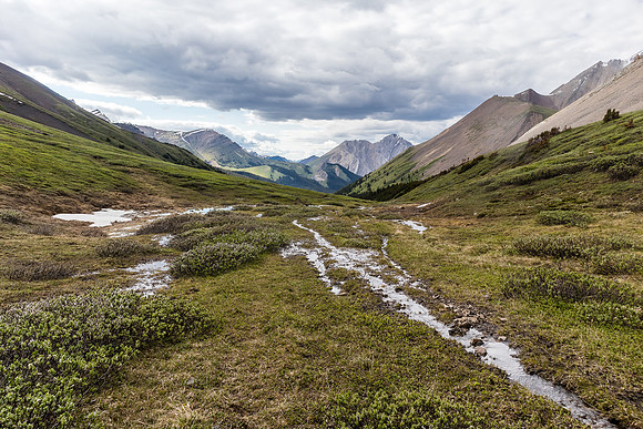 Hiking up to Divide Pass, views back down Peters Creek.