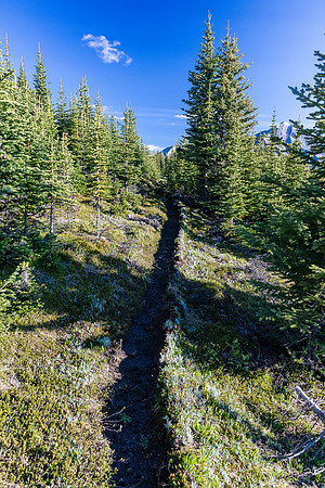 Hiking over the NE shoulder of Boar Station on our way from Divide Creek to the Red Deer River.