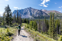 Hiking back to Ya Ha Tinda via the Red Deer River trail.