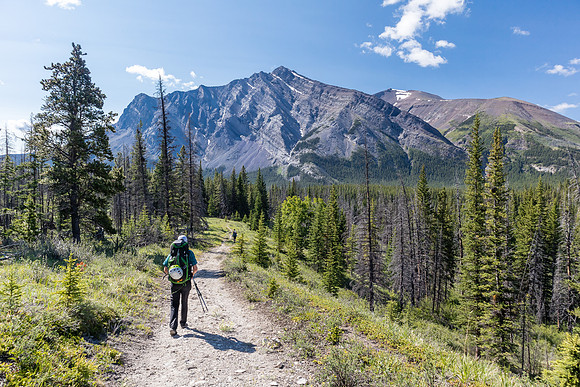 Hiking back to Ya Ha Tinda via the Red Deer River trail.