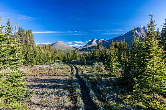 Views back to Chirp Peak.