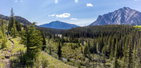 Hiking back to Ya Ha Tinda via the Red Deer River trail.