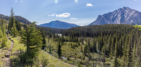 Hiking back to Ya Ha Tinda via the Red Deer River trail.