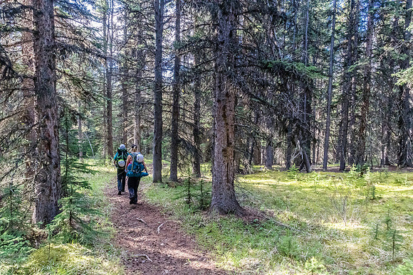 Hiking over the NE shoulder of Boar Station on our way from Divide Creek to the Red Deer River.