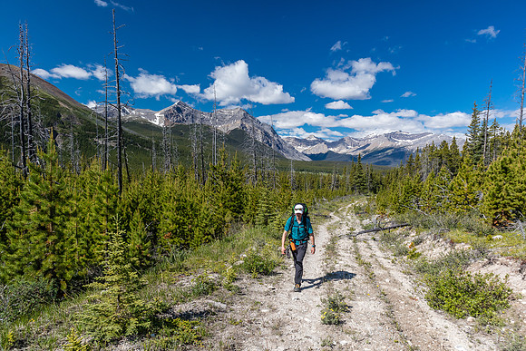 Hiking back to Ya Ha Tinda via the Red Deer River trail.