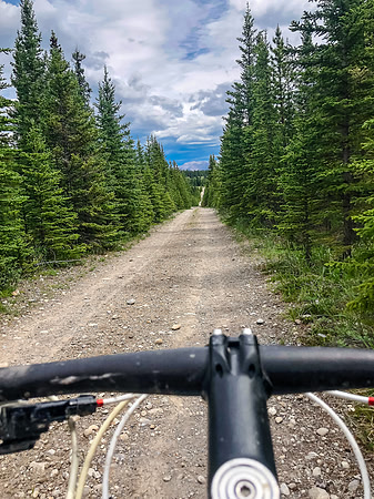 Biking through Ya Ha Tinda to the Bighorn Campground.