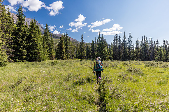 Hiking back to Ya Ha Tinda via the Red Deer River trail.