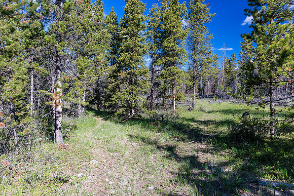 Indistinct trails. Left is upper Red Deer River, right is Divide Creek / Peters Creek / Clearwater.