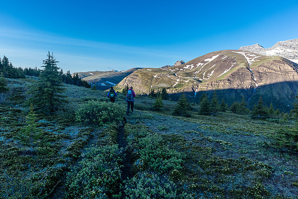 Another frozen morning as we head out from Divide Pass back to the Red Deer River.
