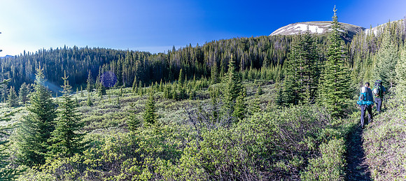 Hiking over the NE shoulder of Boar Station on our way from Divide Creek to the Red Deer River.