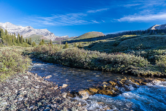 Crossing Divide Creek.