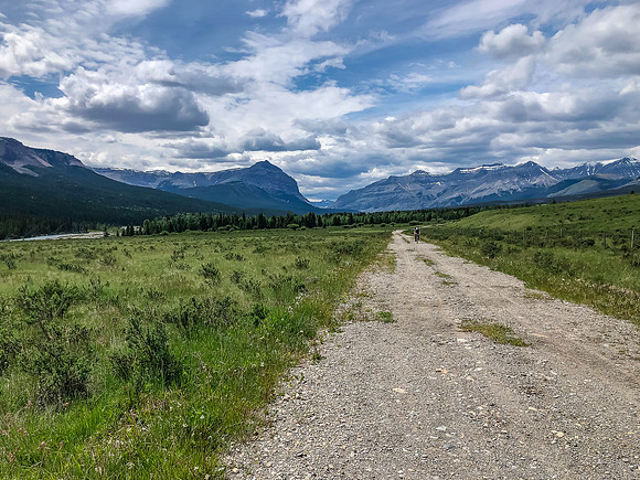 Biking through Ya Ha Tinda to the Bighorn Campground.