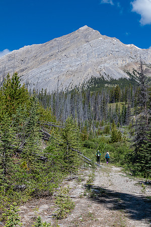 Hiking back to Ya Ha Tinda via the Red Deer River trail.