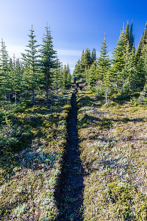 Hiking over the NE shoulder of Boar Station on our way from Divide Creek to the Red Deer River.