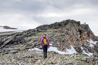 Joanna and a mountain sheep near the summit of Chirp Peak.