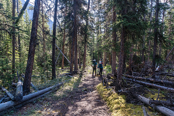 Descending from the NE shoulder of Boar Station down to the Red Deer River.