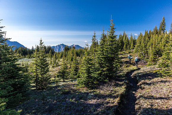 Hiking over the NE shoulder of Boar Station on our way from Divide Creek to the Red Deer River.