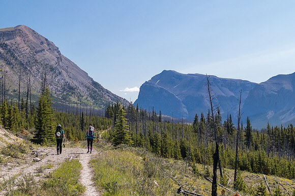 Hiking back to Ya Ha Tinda via the Red Deer River trail.