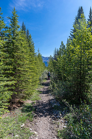 The old Cascade Fire Road.