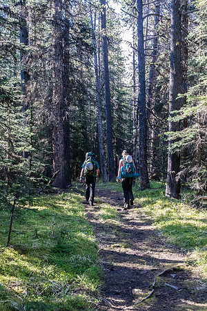 Hiking over the NE shoulder of Boar Station on our way from Divide Creek to the Red Deer River.