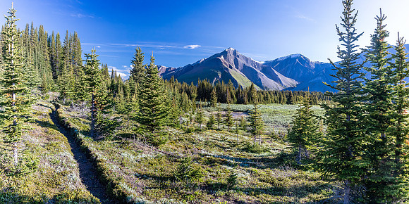 Hiking over the NE shoulder of Boar Station on our way from Divide Creek to the Red Deer River.