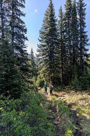 Hiking over the NE shoulder of Boar Station on our way from Divide Creek to the Red Deer River.
