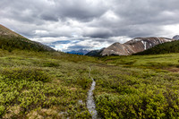 Nearing Tomahawk Pass the trail passes through willow thickets. Note the water on the trail...