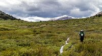 Nearing Tomahawk Pass the trail passes through willow thickets. Note the water on the trail...