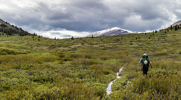 Nearing Tomahawk Pass the trail passes through willow thickets. Note the water on the trail...