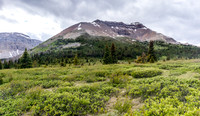 Nearing Tomahawk Pass the trail passes through willow thickets.