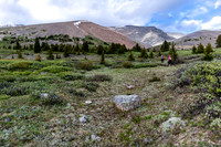 Hiking to the easy west slopes of Tomahawk Mountain from the pass.